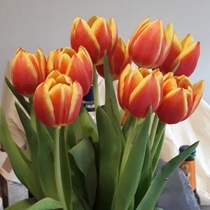 Meet your Posher, Robin